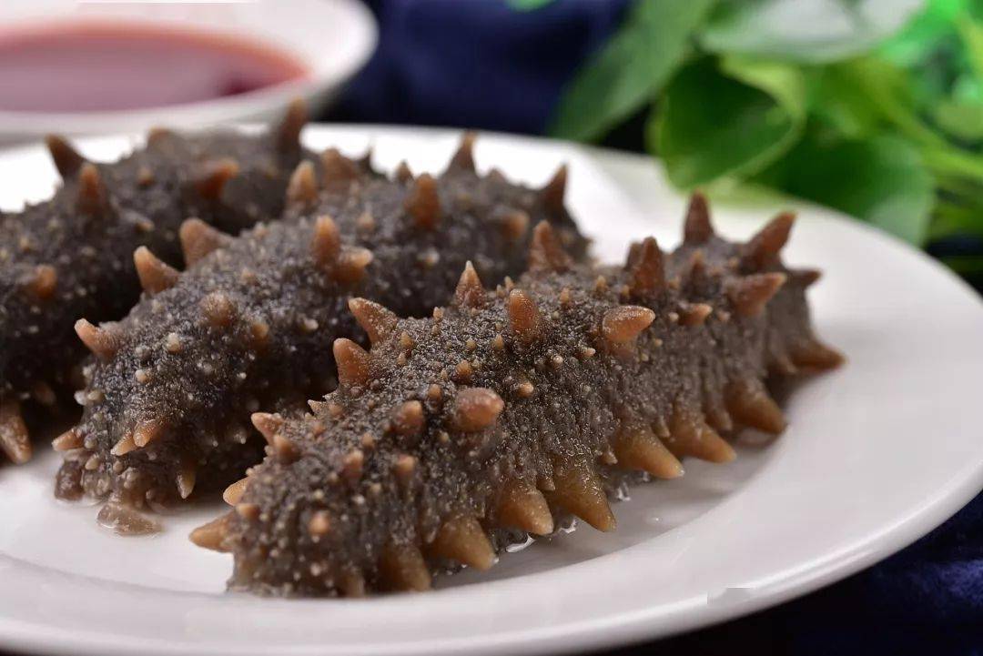 夏季能不能吃海參滋補身體呢？