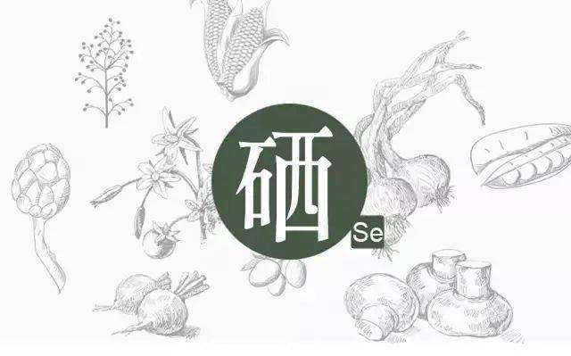 如何科學(xué)補(bǔ)硒？